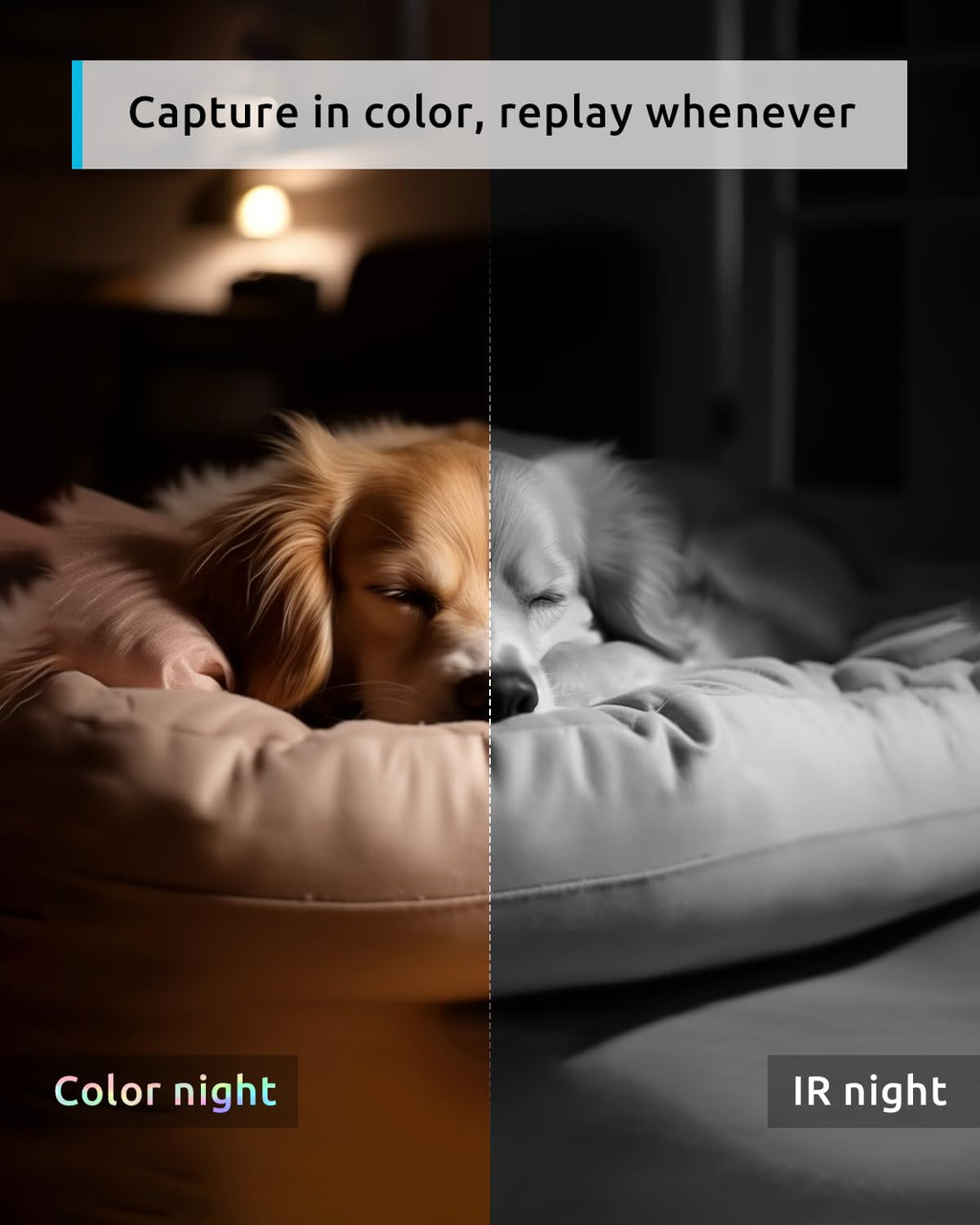 blurams 2K Pet Camera 2-Pack - 360° PTZ Indoor Security Cameras with Night Vision, 2-Way Talk, Motion Tracking, Alexa Compatible