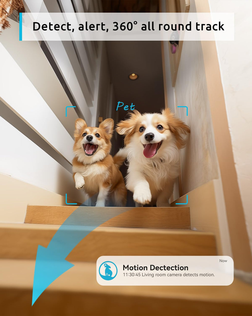 blurams 2K Pet Camera 2-Pack - 360° PTZ Indoor Security Cameras with Night Vision, 2-Way Talk, Motion Tracking, Alexa Compatible