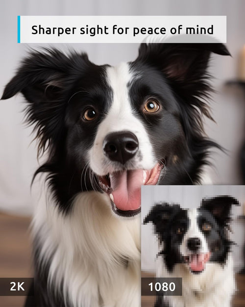 blurams 2K Pet Camera 2-Pack - 360° PTZ Indoor Security Cameras with Night Vision, 2-Way Talk, Motion Tracking, Alexa Compatible